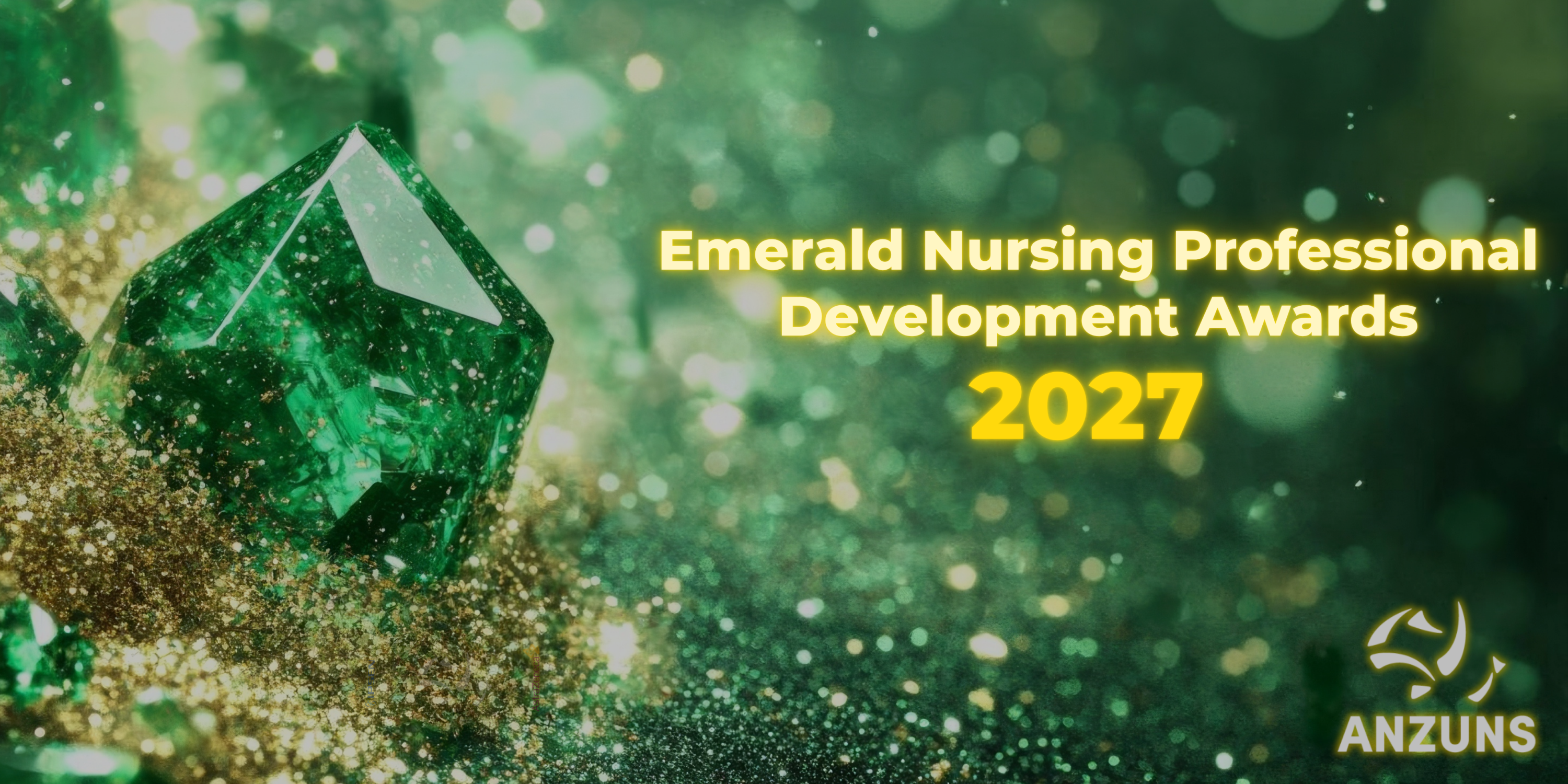 Emerald Nursing Professional Development Awards 2027