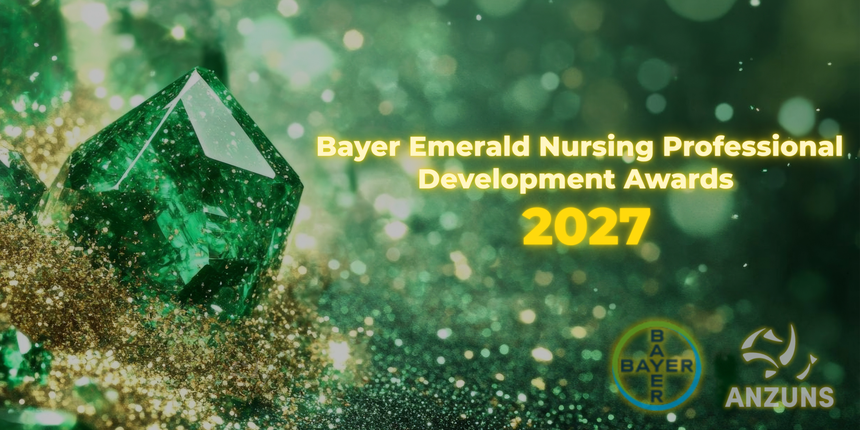 Bayer Emerald Nursing Professional Development Award 2027